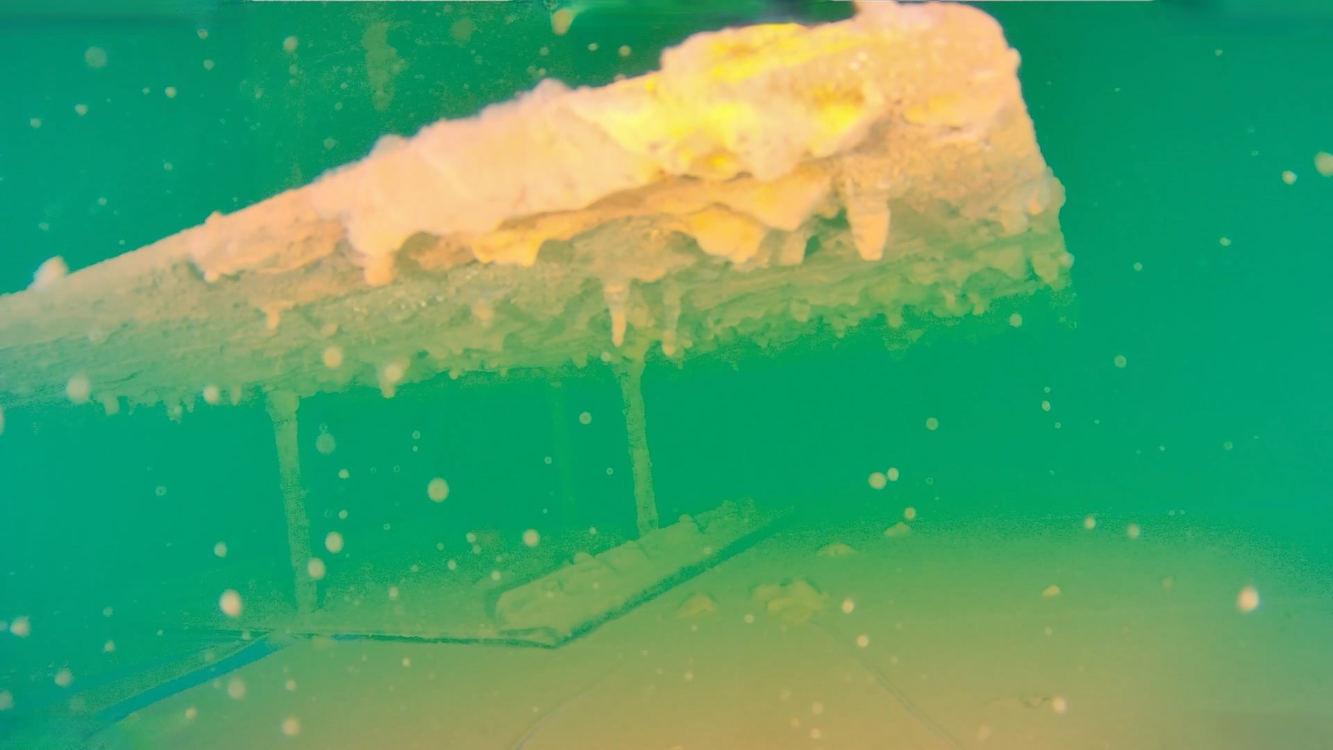 Antiwirbelplatte mit Algenbewuchs und Biofilm
